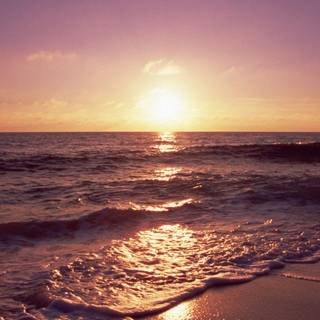 Beach sunset phone wallpaper