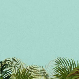 Palm iPhone wallpaper