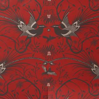 Ajax iPhone wallpaper