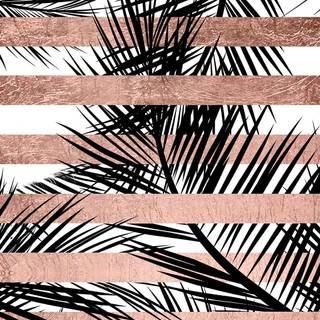 Palm iPhone wallpaper