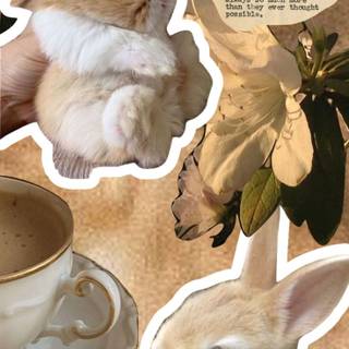 Bunny collage wallpaper