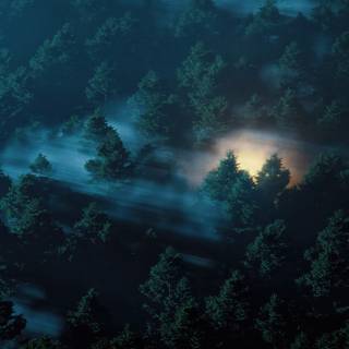 Dark jungle 4k wallpaper