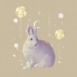 Bunny collage wallpaper