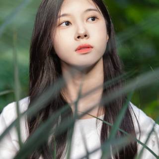 Kim Dayeon wallpaper