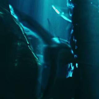 Cruz Cafune wallpaper