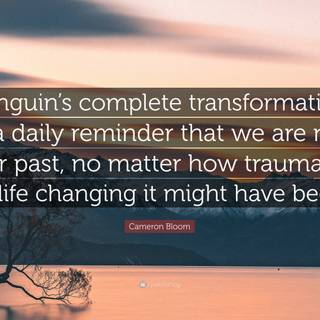 Daily reminder wallpaper