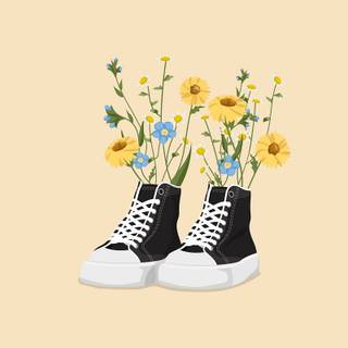 Converse aesthetic wallpaper
