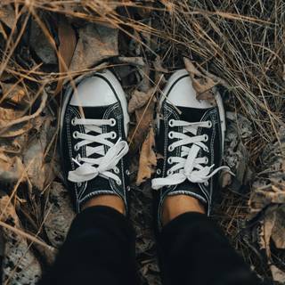 Converse aesthetic wallpaper