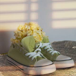 Converse aesthetic wallpaper