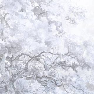 iPhone grey aesthetic wallpaper