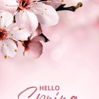 Spring time phone wallpaper