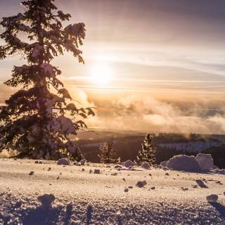 Winter 1440x2560 wallpaper