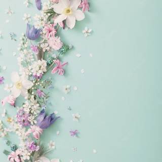 Spring time phone wallpaper