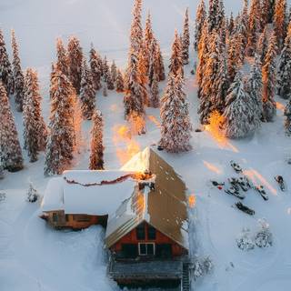 Winter 1440x2560 wallpaper