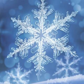 Winter 1440x2560 wallpaper