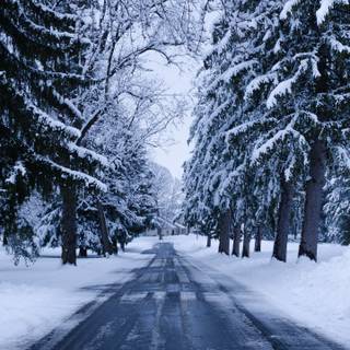 Winter 1440x2560 wallpaper