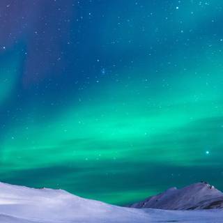 Winter 1440x2560 wallpaper