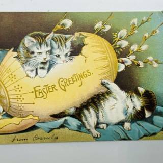 Happy Easter cat wallpaper