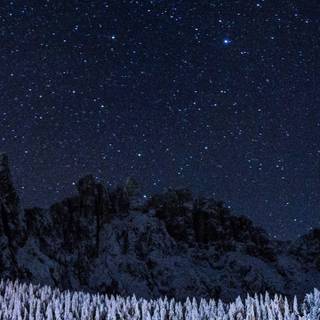 Winter 1440x2560 wallpaper