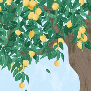Spring lemons wallpaper