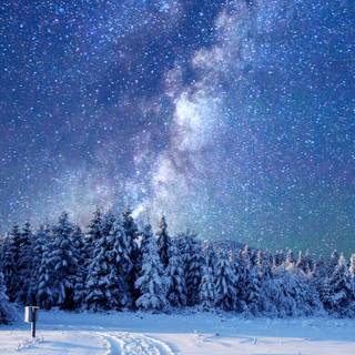 Winter 1440x2560 wallpaper