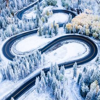 Winter 1440x2560 wallpaper