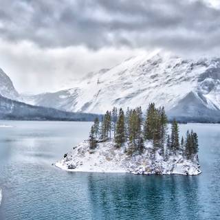 Winter 1440x2560 wallpaper