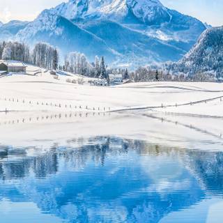 Winter 1440x2560 wallpaper