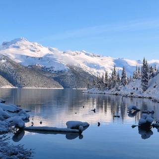 Winter 1440x2560 wallpaper