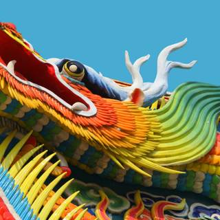Chinese dragon desktop wallpaper