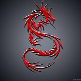 Chinese dragon desktop wallpaper