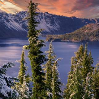 Winter 1440x2560 wallpaper