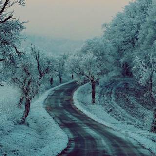 Winter 1440x2560 wallpaper