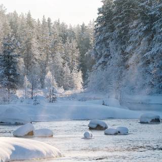 Winter 1440x2560 wallpaper