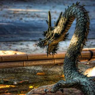 Chinese dragon desktop wallpaper