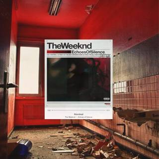 Echoes of Silence wallpaper