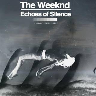 Echoes of Silence wallpaper