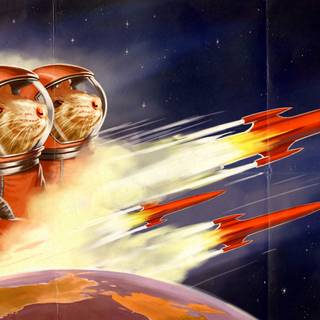 Elon Musk SpaceX wallpaper