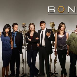 Bones TV show wallpaper