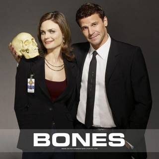 Bones TV show wallpaper