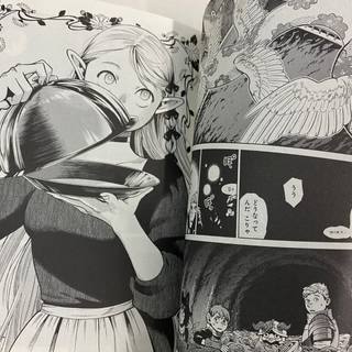 Dungeon Meshi wallpaper