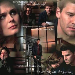 Bones TV show wallpaper