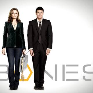 Bones TV show wallpaper