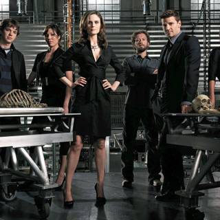 Bones TV show wallpaper