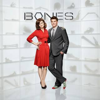 Bones TV show wallpaper