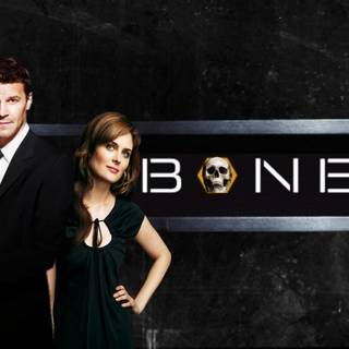 Bones TV show wallpaper