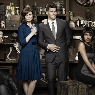 Bones TV show wallpaper