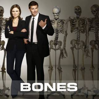 Bones TV show wallpaper