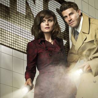 Bones TV show wallpaper