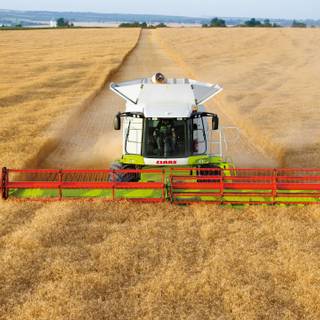 Claas Lexion wallpaper